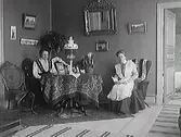 Interiör. En av damerna är fröken Maria Elmgren, kv Magistern, Prästgatan.