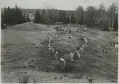 Badelunda sn, Anundshögsområdet, Långby.
De båda stora skeppssättningarna efter renoveringen. 1932.