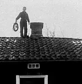 SOTARE PÅ TAKET HOS ANDERS KARLSSON HAGEN GÖTLUNDA. 1948.