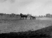 EN MAN MED ETT FÖL OCH ETT STO PÅ EN ÅKER


Tillv.tid: 1938
Övriga nr: 84
Repro nr: 
Registrator: TR

RealNr: 231 7     Motiv_spec: HÄST

Proviens
Kod: 10
Yrke: FOTOGRAFNamn: KARLSSON ANDERS
Land: 
Län: 16
Kommun: 
Stad: GÖTLUNDA
By: 
Gård: 
Fastighet: HAGEN
Adress: 


Proviens
Kod: 81
Yrke: Namn: SKÖVDE MUSEUM
Land: 
Län: 16
Kommun: 
Stad: SKÖVDE
By: 
Gård: 
Fastighet: 
Adress: