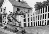 Villa på Franckegatan