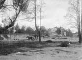 Bortschaktningen av parken vid Stora Limugnen under år 1894 för beredande av plats för Vaggerydsbanan. Sofiakyrkans torn syns över det välkända sommmarvärdshuset.