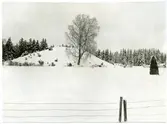 Badelunda sn, Anundshögsområdet, Långby.
Anundshögen. C:a 1928.