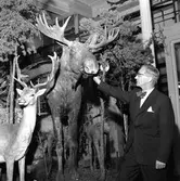 Karro-museum.
29 oktober 1958.