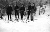 Fem skidåkerskor ute i skogen. Fr v Birgitta Andersson, Gullan Molin, Inga-Britt Albinsson, Eivor Molin och en okänd flicka.
(Se även bildnr EA1058, EA1059)