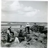 Badelunda sn, Anundshögsområdet, Långby.
Restaurering av skeppssättning.