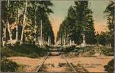 Järnvägslinje i närheten av Forsbacka.