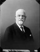 Ateljéporträtt - Reinhold Sundberg, Östhammar, Uppland