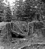 Väne-Ryr, hällkista