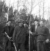 Skogsvårdsnummer.
28 november 1958.