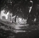 Del av kyrkogården vid klockstapeln till Kråksmåla kyrka.