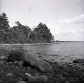 Foto taget ifrån stranden söder om Saltbruket i Vadstena.