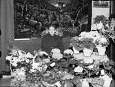 Kvinna i bostadsmiljö omgiven av blommor, Östhammar, Uppland,