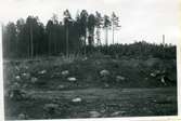 Hubbo sn, Alvesta.
Alvesta 3:1, fornlämning nr 1 från norr. 1950.