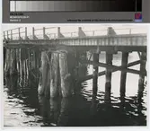 Flottans skeppsbro, laget, befintlig skick i december 1948