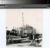 Verkstad för träfartyg, montering av stomme och takstolar