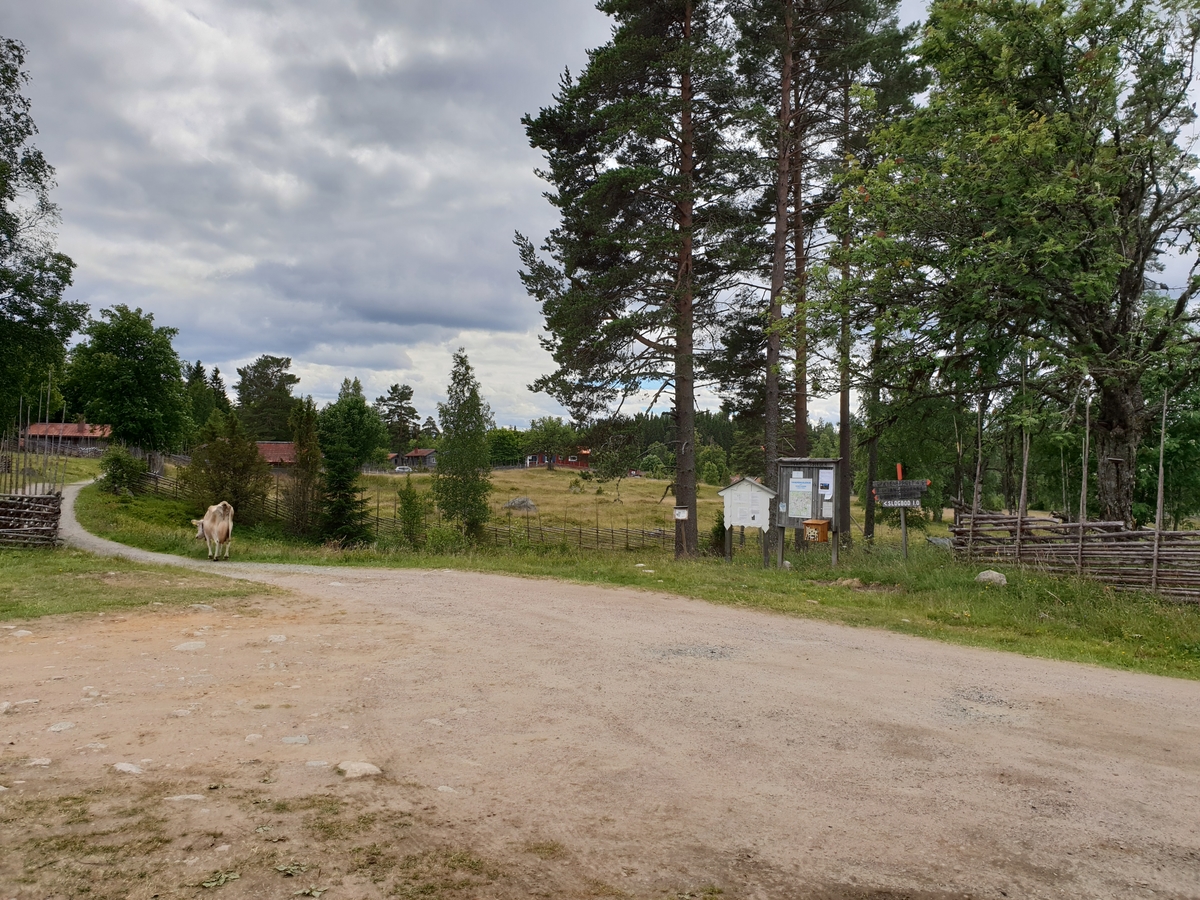 Jennie Tiderman-Österberg, Bastberget’s Fatherboard, Mockjärd, 2018.