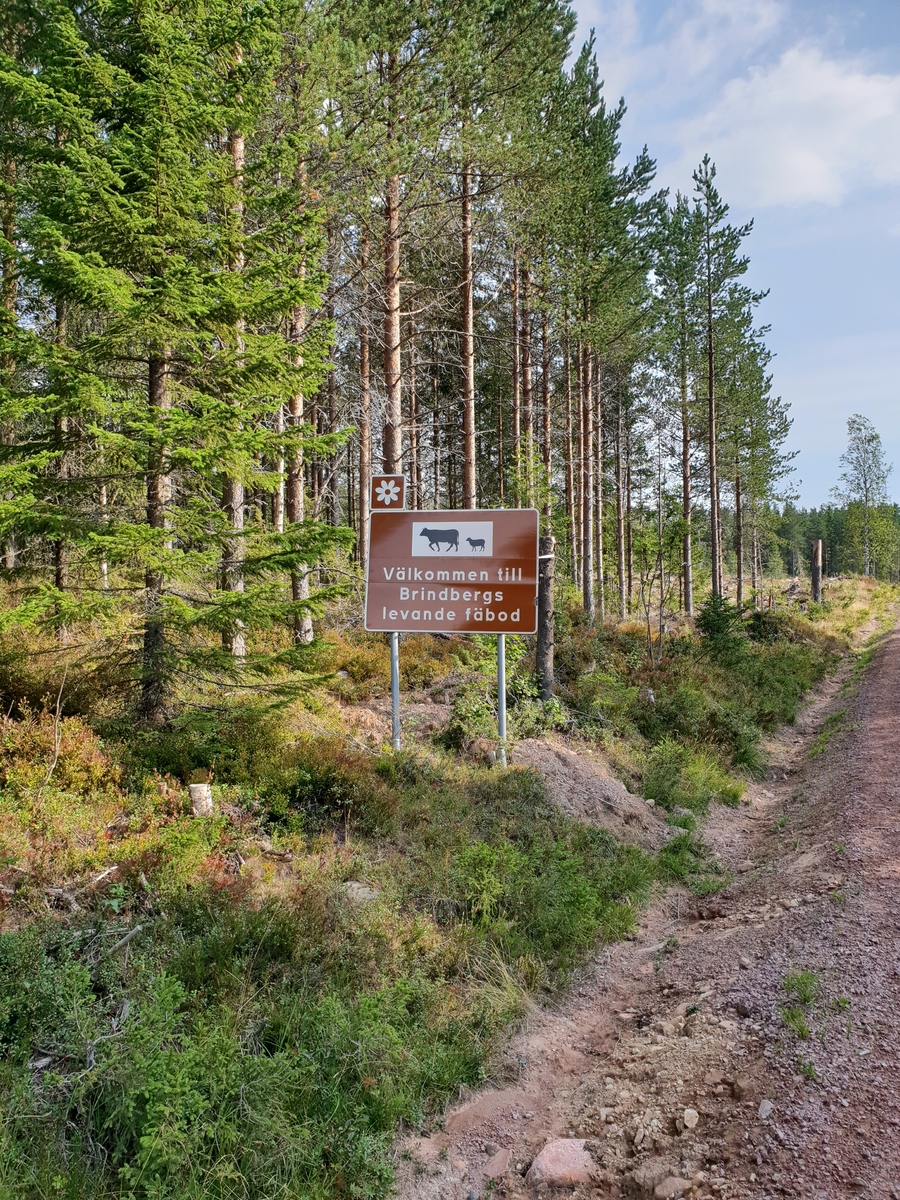 Jennie Tiderman-Österberg, Välkommen till Brindbergs levande fäbod. Vägskylt på väg till Brindbergs fäbodar, Älvdalen, 2018.