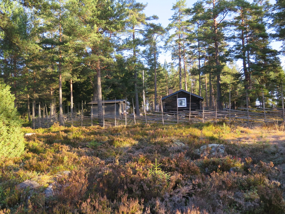 Jennie Tiderman-Österberg, View, forest, dwelling house, Grejsans fiancé, Enviken, 2017.