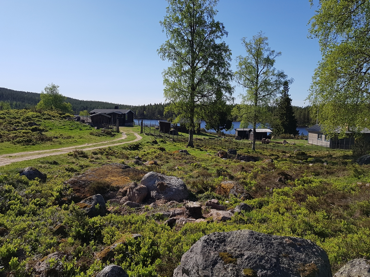 Jennie Tiderman-Österberg, Vy, Nysjöns fäbodar, Svärdsjö, Falun, 2018.