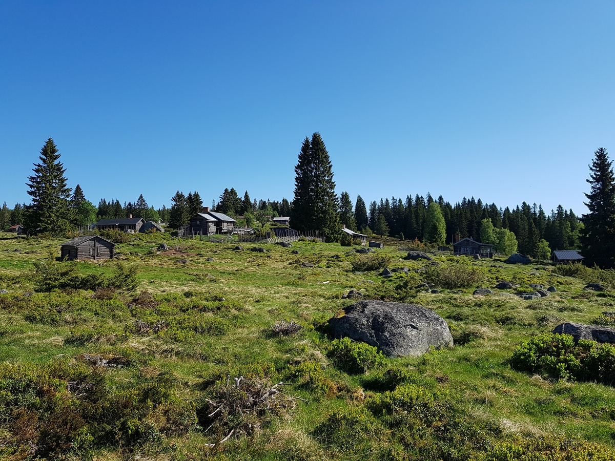 Jennie Tiderman-Österberg, Vy, Nysjöns fäbodar, Svärdsjö, Falun, 2018.