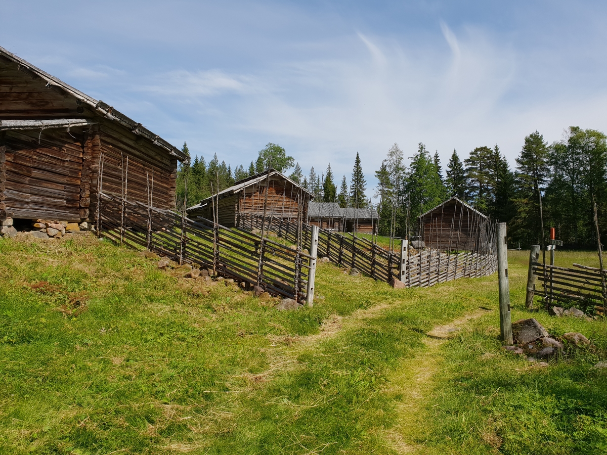 Jennie Tiderman-Österberg, View, Tailor-Djurberga, Orsa, 2018.