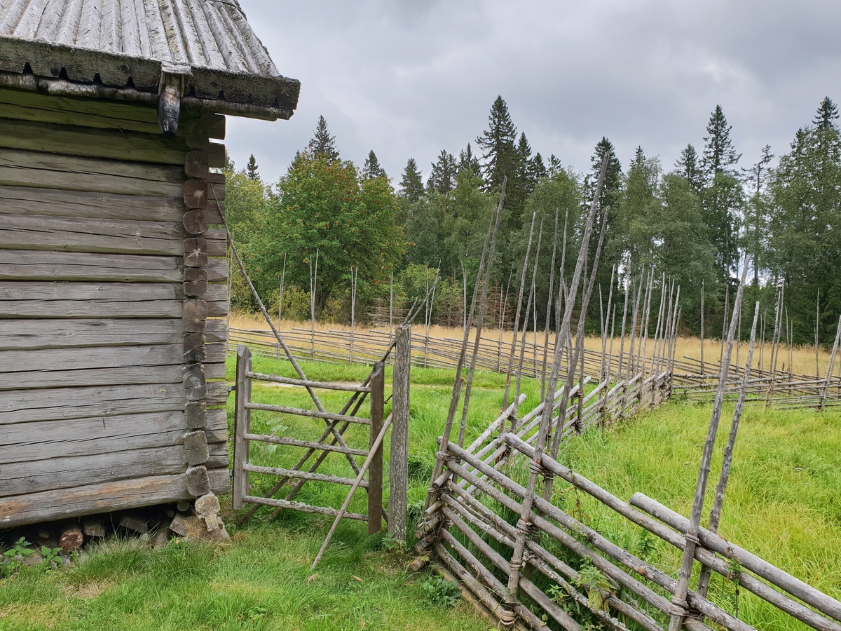 Jennie Tiderman-Österberg, Husknut, timmervägg, gärdesgård, Skräddar-Djurberga, Orsa, 2018.