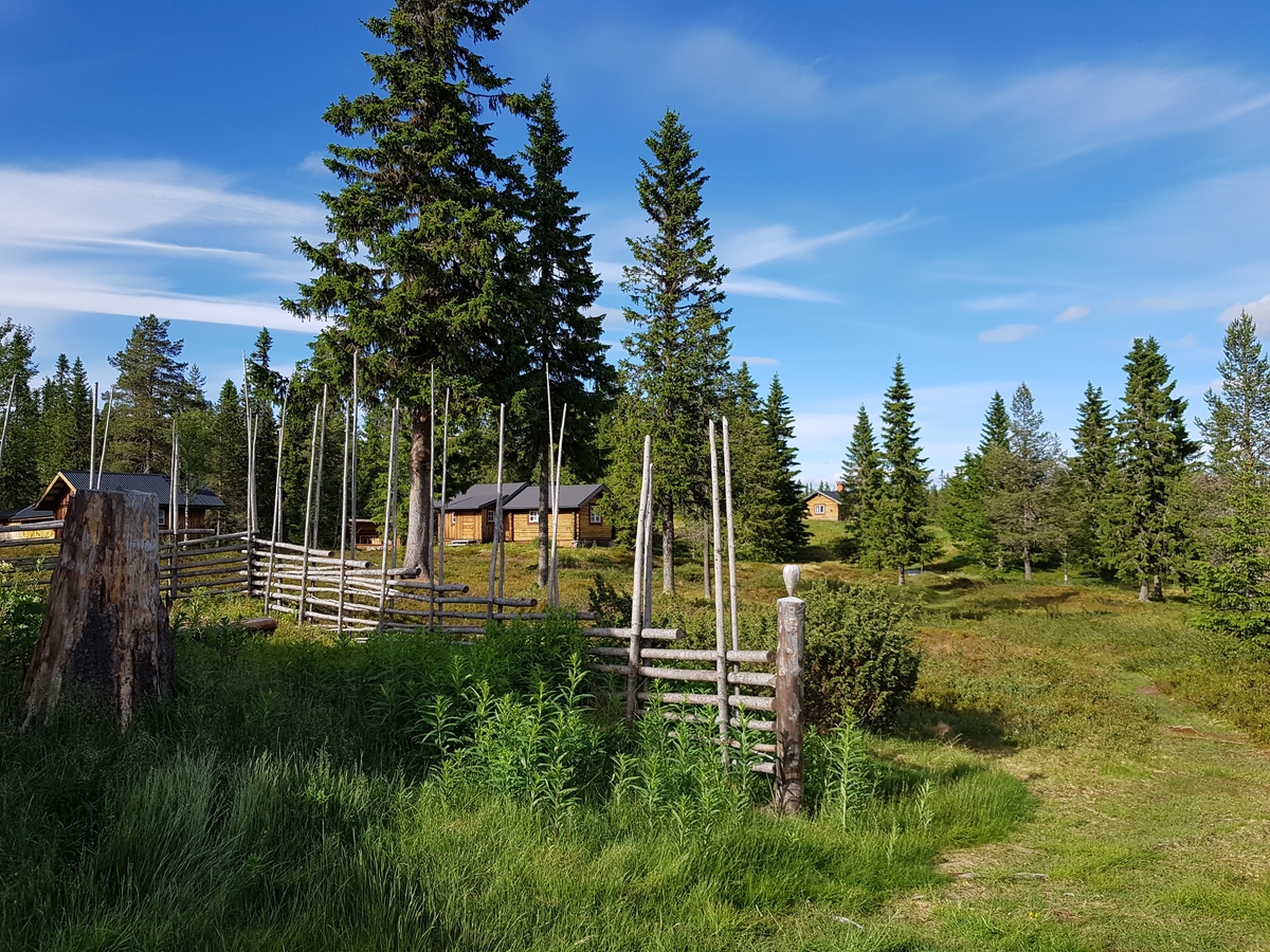 Jennie Tiderman-Österberg, Bohus, fäbodstuga, Nysätersvallen, Särna, 2018.