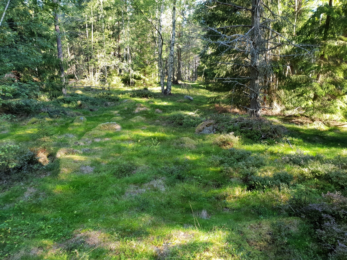 Jennie Tiderman-Österberg, Polls after the Father-dwelling, Mossbo, Hedemora, 2018.