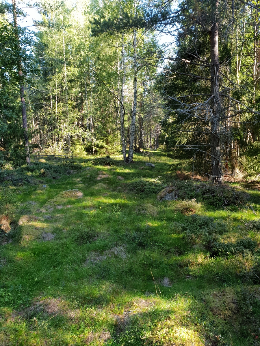 Jennie Tiderman-Österberg, Polls after the Father-dwelling, Mossbo, Hedemora, 2018.