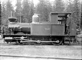 Lokomotiv med lokförare och en passagerare på Köping-Uttersberg-Riddarhyttans Järnväg.