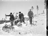 Tre skidåkare med en hund på jakt, Riddarhyttan.