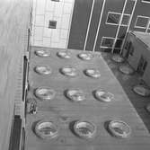 Diverse bilder, 1958.
Byggnad.