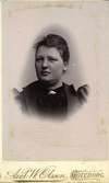 Hilma Matilda Bengtsson f. Apel 1894 d. 1968.
Dotter till båtsman Engelbrekt Apel, Dammkärr.
Git med Edvin Bengtsson, Dammkärr Torpet 1:1.