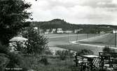 Vykort ca. 1940-50.
Labackavägen, Birger Ahlströms trädgård, Lyckobov.
I bakgrunden Kållereds stationssamhälle och Brattåsberget.