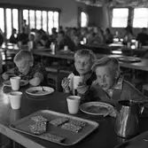 AB Stig Dahlberg Storkök, 1961