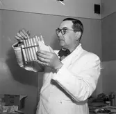 Arboga Margarinfabrik