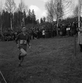 Arboga Orienteringsklubb vinner tiomilaorienteringen