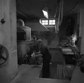 Arboga Tidning, personal och interiör. En man arbetar i en källarlokal. Han står vid en maskin och håller i en plåt med en tidningssida. Andra plåtar är uppställda på golvet intill honom. Mannen bär overall. Rummet har ett platsbyggt arbetsbord. På en hylla, under bordet, skymtar en oljekanna. På bordet ligger mannens armbandsur och några små verktyg. På väggen hänger en telefon. Där finns också flera strömbrytare. Intill lysrörslampan i taket hänger en lina. Över linan hänger flera rektangulära textilier.