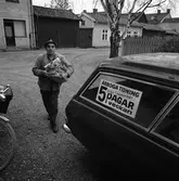 Arboga Tidning, personal. En man, klädd i jacka och hatt, bär flera tidningsbuntar i famnen. Han är utomhus. En cykel, med packväska, syns till vänster. En bil har dekalen 