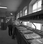 Arboga Tidning, personal och interiör. En sättare bygger en tidningssida med typer. Sidor klara för tryck, syns i förgrunden. I bakgrunden arbetar en man vid en bänk.