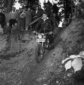 Arbogas Stjärnknutte
Tävling i terrängkörning med motorcykel. Ung man på väg nerför backe på motorcykel. Publiken står alldeles intill.