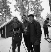 Arboga Tekniska Skola har idrottsdag med längdskidåkning. Tre män, varar två har nummerlapp på bröstet. En håller i stavar.