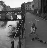 Ett barn, i sittvagn, matar duvor och skrattmåsar intill Arbogaån. Platsen är /Labron/Ladbron/Lastbron. I bakgrunden ses trappan upp till Kapellgatan och Kapellbron.