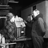 Syskonen Björkman, Björkmans Nöjesfält, vid en spelautomat.
Greta Rosén, John Björkman och Martin Björkman (längst till höger).