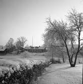 Inbäddad in snö, ligger Anders Högfeldts hus. Adressen är Storgatan 54. Huset ses från norra sidan av Arbogaån.