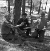 Tre män har funnit gamla mynt strax norr om ålderdomshemmet. Två av dem håller i mynt, den tredje håller i en spade.