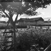Ladubacksskolans gymnastiksal och gungor på skolgården. I bakgrunden ses flerfamiljshusen i kvarteret Sippan.
Skolan byggdes 1982. Magnus Ledel, byggkonsult.