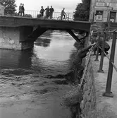 En katt har ramlat i ån! Polisman Ivan Pettersson klättrar ner på stegen och polisman Ragnar Hedin håller i. Människor har stannat på Kapellbron för att följa händelseutvecklingen.