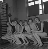 Skolturnering i korgboll/basket
Sju flickor sitter på en gymnastikbänk. En ribbstol ses intill.
Från vänster: Birgitta Karlsson, Ing-Marie Eriksson, Karin Knutsson, Kerstin Karlsson, Karin Hägg, Eva Olsson och Ann-Marie Eriksson